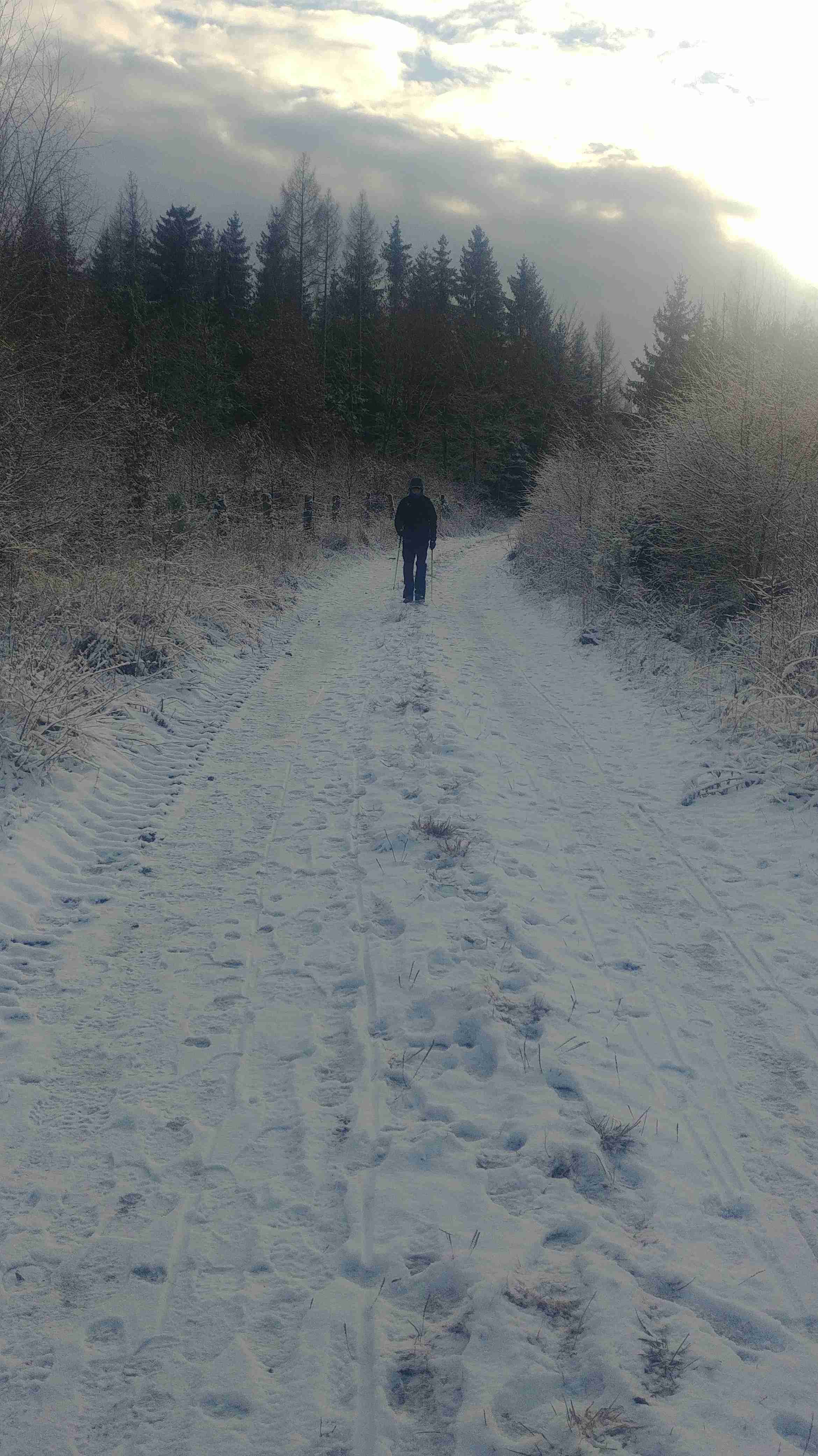 Gabel Nordic Walking w zimie