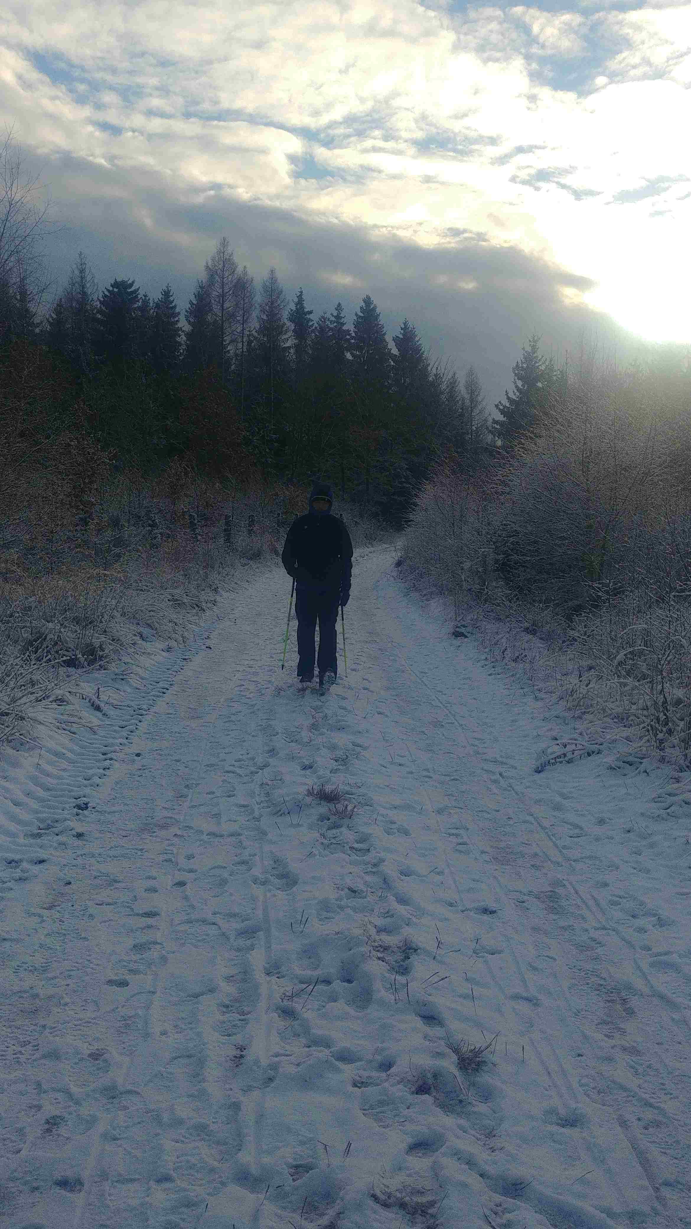 Nordic Walking Gabel po śniegu