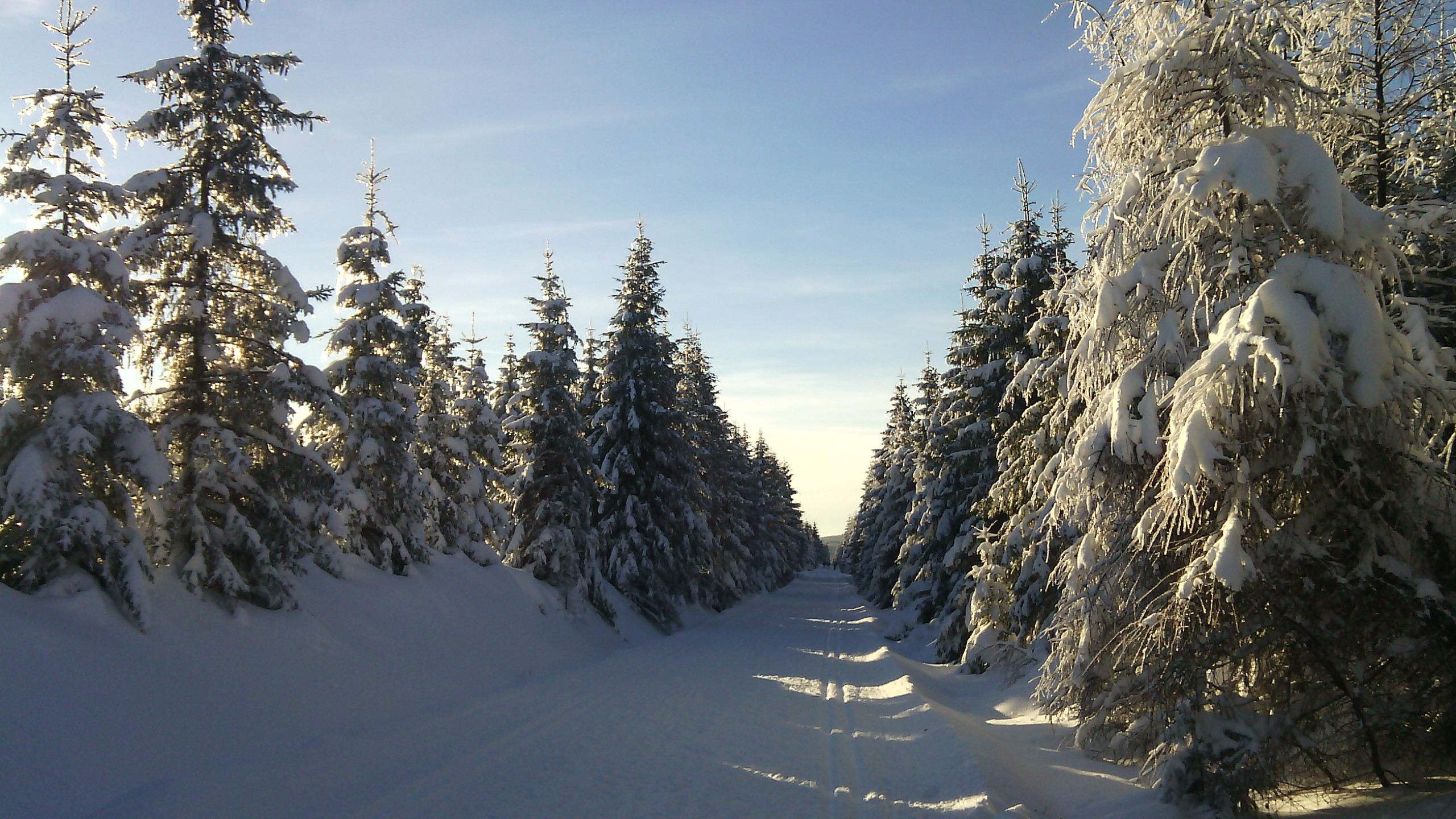 Zimowy Nordic Walking